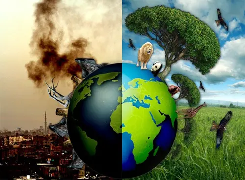 Ô nhiễm môi trường là gì?