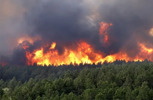 Hình ảnh cháy rừng gây ô nhiễm nhiệt
